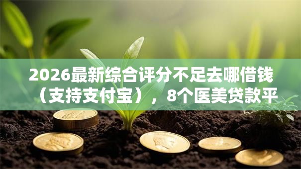 2026最新综合评分不足去哪借钱（支持支付宝），8个医美贷款平台无私分享
