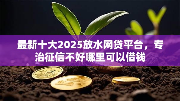 最新十大2025放水网贷平台，专治征信不好哪里可以借钱