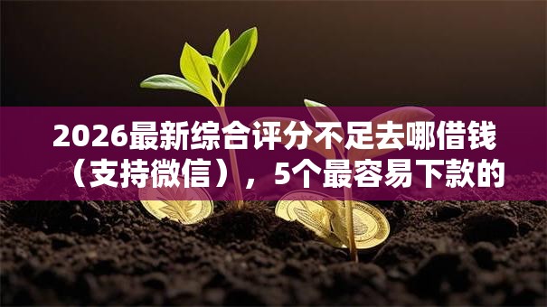 2026最新综合评分不足去哪借钱（支持微信），5个最容易下款的贷款平台不看征信无私分享