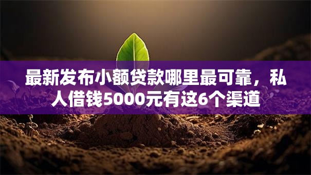 最新发布小额贷款哪里最可靠，私人借钱5000元有这6个渠道