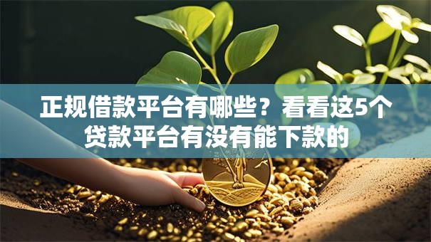 正规借款平台有哪些？看看这5个贷款平台有没有能下款的