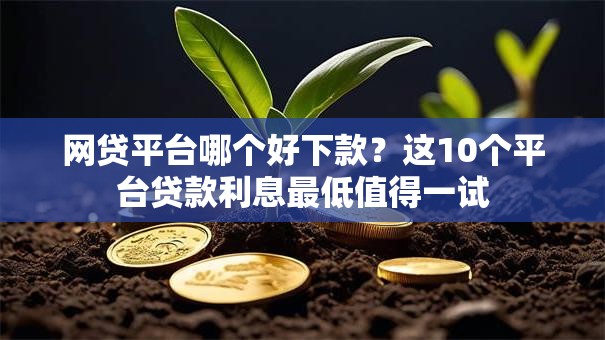网贷平台哪个好下款？这10个平台贷款利息最低值得一试