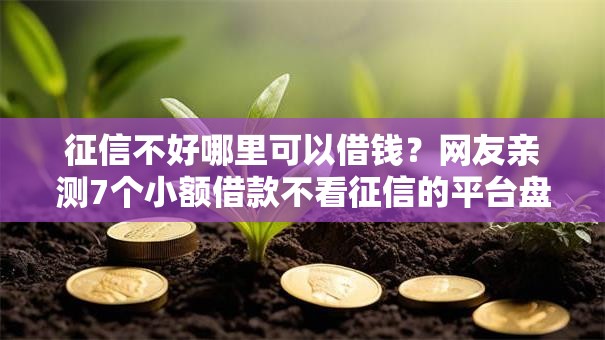 征信不好哪里可以借钱？网友亲测7个小额借款不看征信的平台盘点