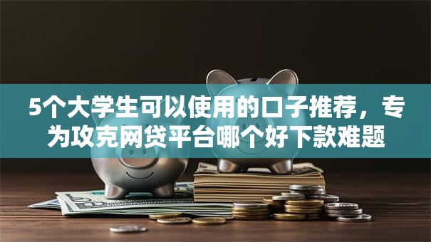 5个大学生可以使用的口子推荐，专为攻克网贷平台哪个好下款难题