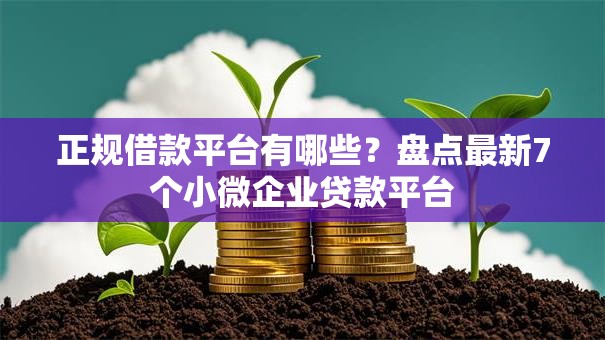 正规借款平台有哪些？盘点最新7个小微企业贷款平台