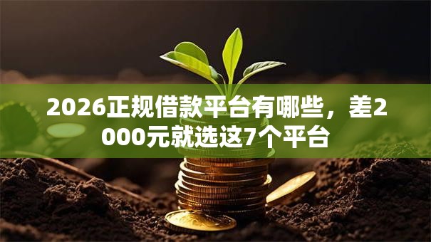 2026正规借款平台有哪些，差2000元就选这7个平台