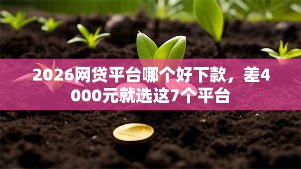 2026网贷平台哪个好下款,差4000元就选这7个平台 2026网贷平台哪个好下款,差4000元就选这7个平台