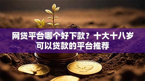 网贷平台哪个好下款？十大十八岁可以贷款的平台推荐