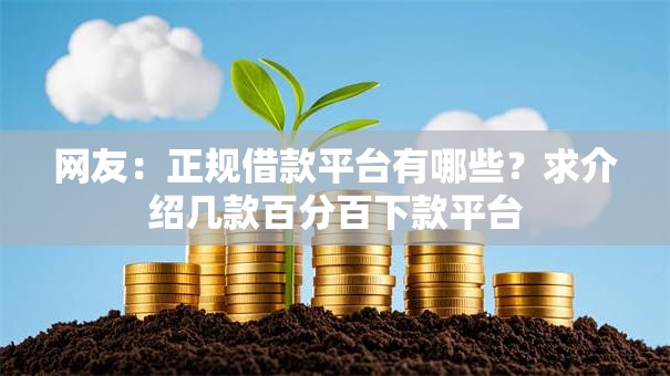 网友：正规借款平台有哪些？求介绍几款百分百下款平台