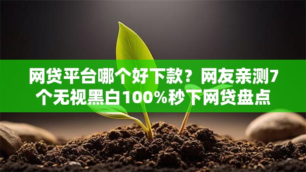 网贷平台哪个好下款?网友亲测7个无视黑白100%秒下网贷盘点 网贷平台哪个好下款?网友亲测7个无视黑白100%秒下网贷盘点