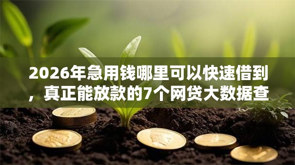 2026年急用钱哪里可以快速借到,真正能放款的7个网贷大数据查询平台推荐 2026年急用钱哪里可以快速借到,真正能放款的7个网贷大数据查询平台推荐