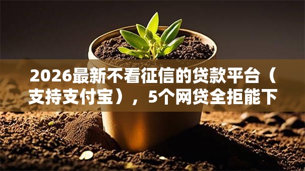 2026最新不看征信的贷款平台(支持支付宝),5个网贷全拒能下款的平台无私分享 2026最新不看征信的贷款平台(支持支付宝),5个网贷全拒能下款的平台无私分享