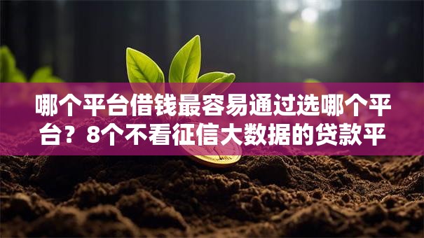 哪个平台借钱最容易通过选哪个平台?8个不看征信大数据的贷款平台一定能下款推荐 哪个平台借钱最容易通过选哪个平台?8个不看征信大数据的贷款平台一定能下款推荐