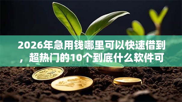 2026年急用钱哪里可以快速借到，超热门的10个到底什么软件可以借钱黑户推荐
