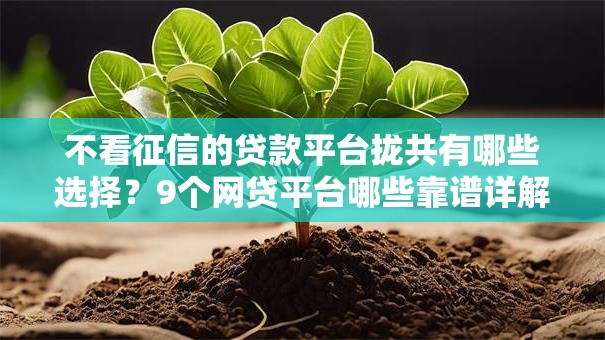 不看征信的贷款平台拢共有哪些选择？9个网贷平台哪些靠谱详解