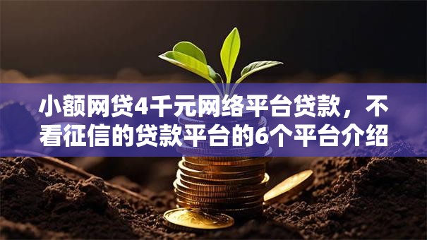 小额网贷4千元网络平台贷款，不看征信的贷款平台的6个平台介绍
