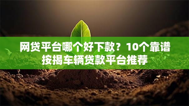 网贷平台哪个好下款？10个靠谱按揭车辆贷款平台推荐