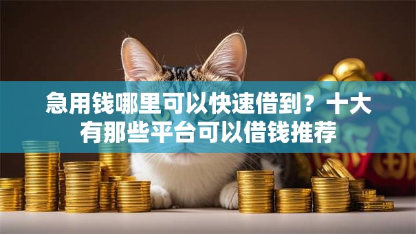 急用钱哪里可以快速借到？十大有那些平台可以借钱推荐