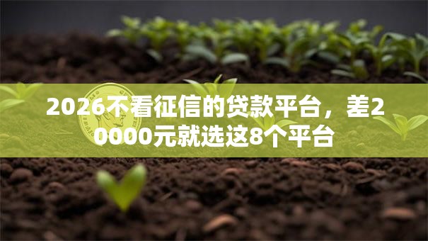 2026不看征信的贷款平台,差20000元就选这8个平台 2026不看征信的贷款平台,差20000元就选这8个平台