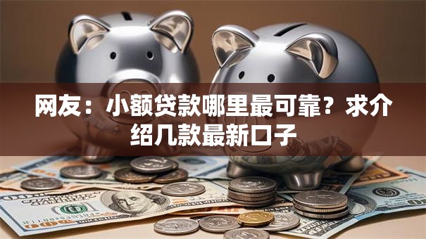 网友：小额贷款哪里最可靠？求介绍几款最新口子