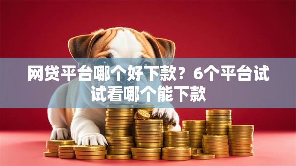 网贷平台哪个好下款？6个平台试试看哪个能下款