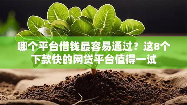 哪个平台借钱最容易通过？这8个下款快的网贷平台值得一试