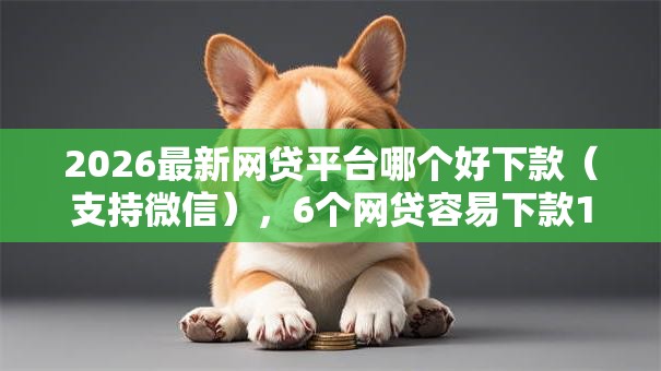 2026最新网贷平台哪个好下款（支持微信），6个网贷容易下款18岁的口子无私分享