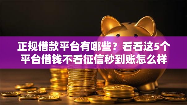 正规借款平台有哪些？看看这5个平台借钱不看征信秒到账怎么样