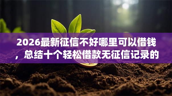 2026最新征信不好哪里可以借钱，总结十个轻松借款无征信记录的app！