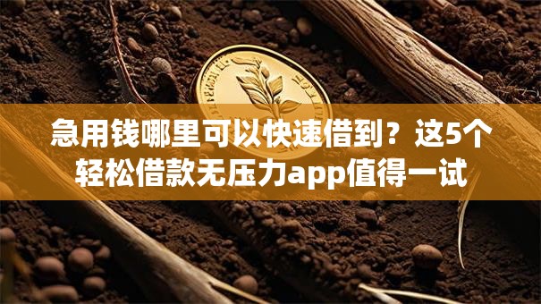 急用钱哪里可以快速借到？这5个轻松借款无压力app值得一试