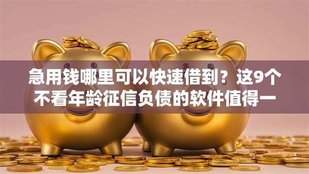 急用钱哪里可以快速借到？这9个不看年龄征信负债的软件值得一试
