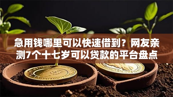 急用钱哪里可以快速借到？网友亲测7个十七岁可以贷款的平台盘点