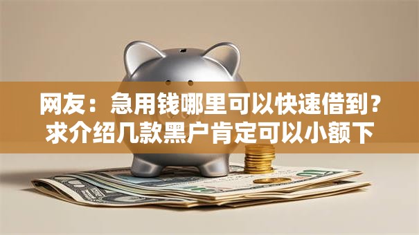 网友：急用钱哪里可以快速借到？求介绍几款黑户肯定可以小额下款的平台