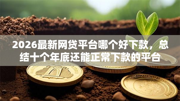 2026最新网贷平台哪个好下款,总结十个年底还能正常下款的平台! 2026最新网贷平台哪个好下款,总结十个年底还能正常下款的平台!