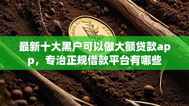 最新十大黑户可以做大额贷款app，专治正规借款平台有哪些