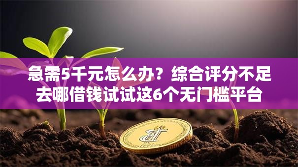 急需5千元怎么办？综合评分不足去哪借钱试试这6个无门槛平台