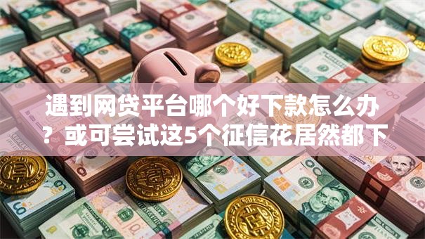 遇到网贷平台哪个好下款怎么办？或可尝试这5个征信花居然都下款了的平台