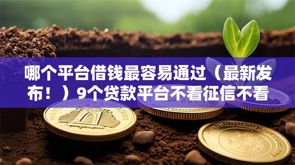 哪个平台借钱最容易通过（最新发布！）9个贷款平台不看征信不看逾期
