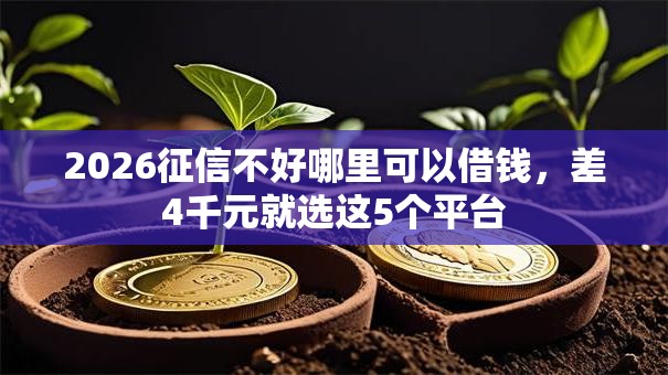 2026征信不好哪里可以借钱，差4千元就选这5个平台