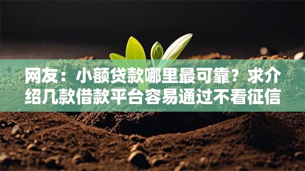 网友：小额贷款哪里最可靠？求介绍几款借款平台容易通过不看征信
