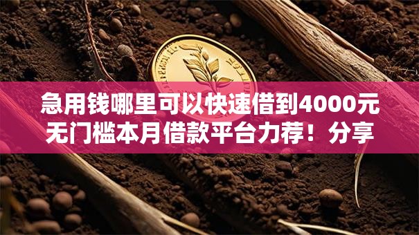急用钱哪里可以快速借到4000元无门槛本月借款平台力荐！分享小额网贷口子4000元无门槛借款