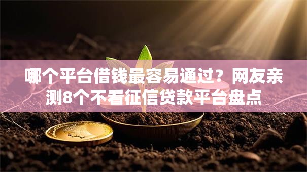 哪个平台借钱最容易通过？网友亲测8个不看征信贷款平台盘点