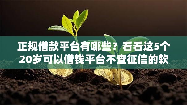 正规借款平台有哪些?看看这5个20岁可以借钱平台不查征信的软件怎么样 正规借款平台有哪些?看看这5个20岁可以借钱平台不查征信的软件怎么样