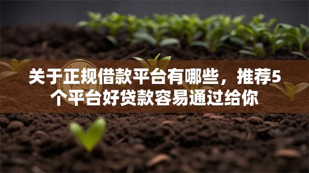 关于正规借款平台有哪些，推荐5个平台好贷款容易通过给你