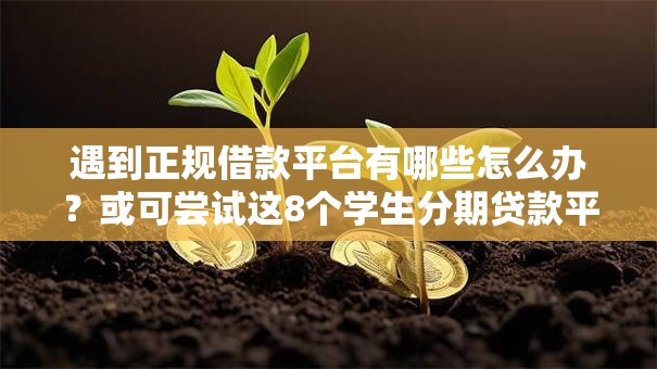 遇到正规借款平台有哪些怎么办？或可尝试这8个学生分期贷款平台