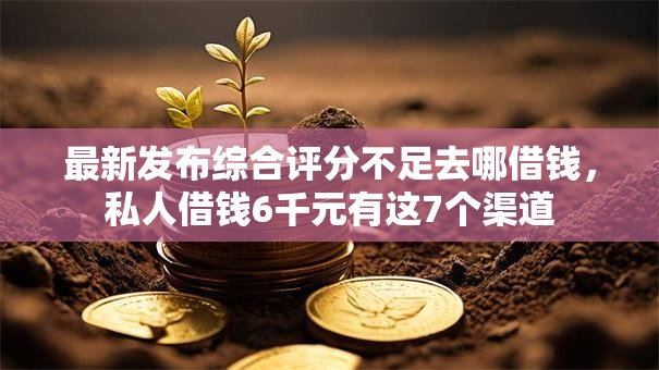 最新发布综合评分不足去哪借钱，私人借钱6千元有这7个渠道