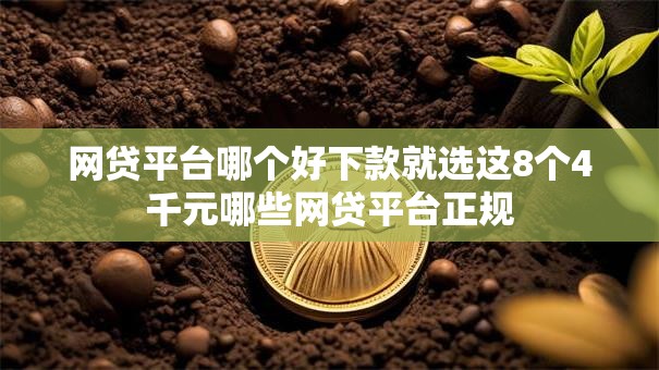 网贷平台哪个好下款就选这8个4千元哪些网贷平台正规