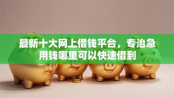 最新十大网上借钱平台，专治急用钱哪里可以快速借到