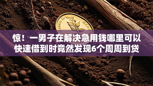 惊！一男子在解决急用钱哪里可以快速借到时竟然发现6个周周到贷款相同系列的口子，事后分享了出来