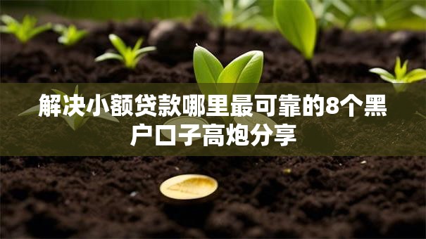 解决小额贷款哪里最可靠的8个黑户口子高炮分享